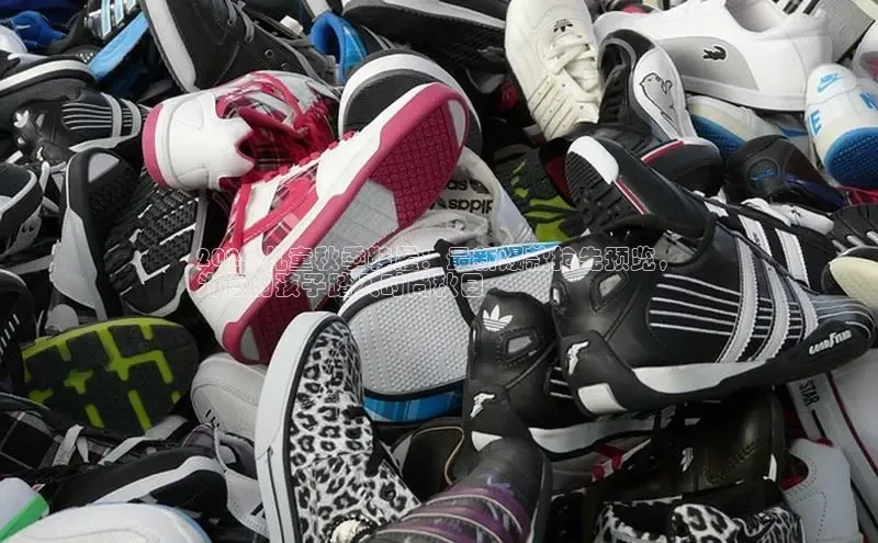 bsports网页版登录官方入口雷柏科技2024 儿童秋季鞋履：最新爆款抢先预览，
为您的孩子踏入时尚秋日