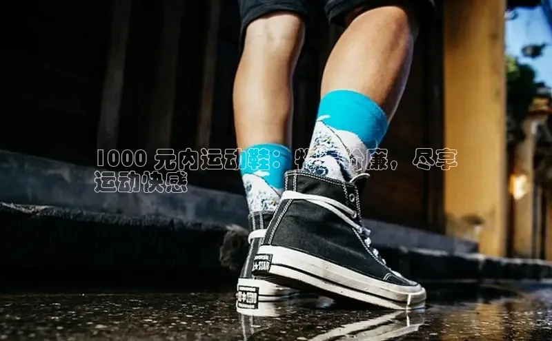 bsports必一体育网页版登录ARGA公司1000 元内运动鞋：物美价廉，尽享
运动快感