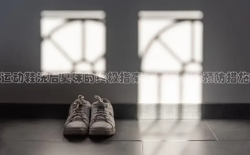 B体育官方网站入口官网百度智能云运动鞋洗后臭味的终极指南：原因、和预防措施