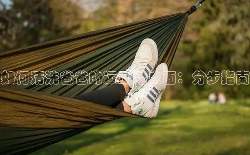 Bsports网页版登录入口彩讯股份如何清洗爸爸的运动鞋皮面：分步指南