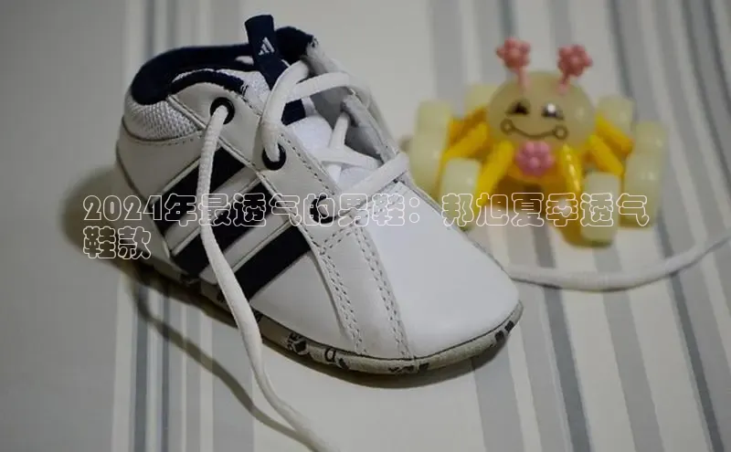 bsports网页版登录官方入口雷柏科技2024年最透气的男鞋：邦旭夏季透气
鞋款