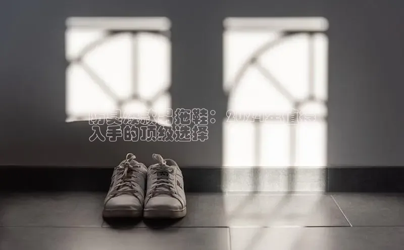 b体育(中国)官方网站京东防臭爆款男拖鞋：2024年值得
入手的顶级选择