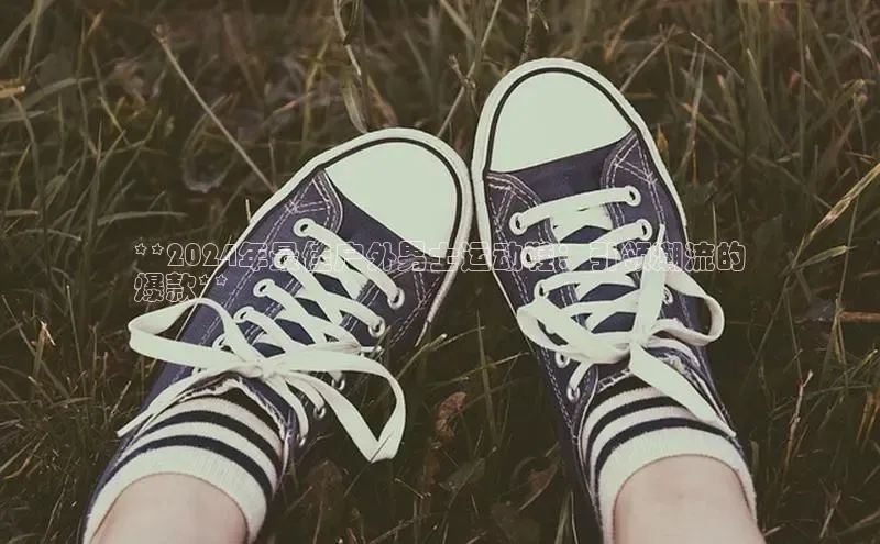 bsports必一体育网页版登录ARGA公司**2024年最佳户外男士运动鞋：引领潮流的
爆款**