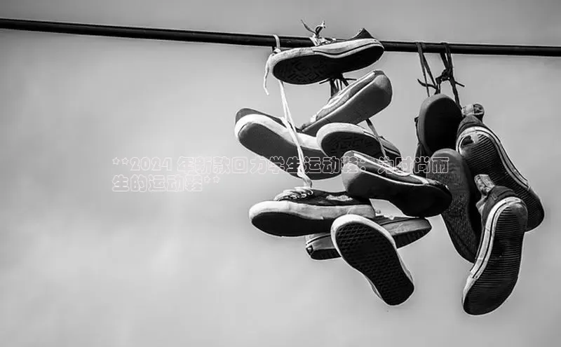 bsports网页版轻美电器**2024 年新款回力学生运动鞋：为时尚而
生的运动鞋**