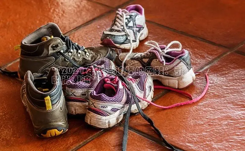 bsports必一体育网页版登录中文在线**2024 年最受追捧的网鞋：引领
时尚潮流**