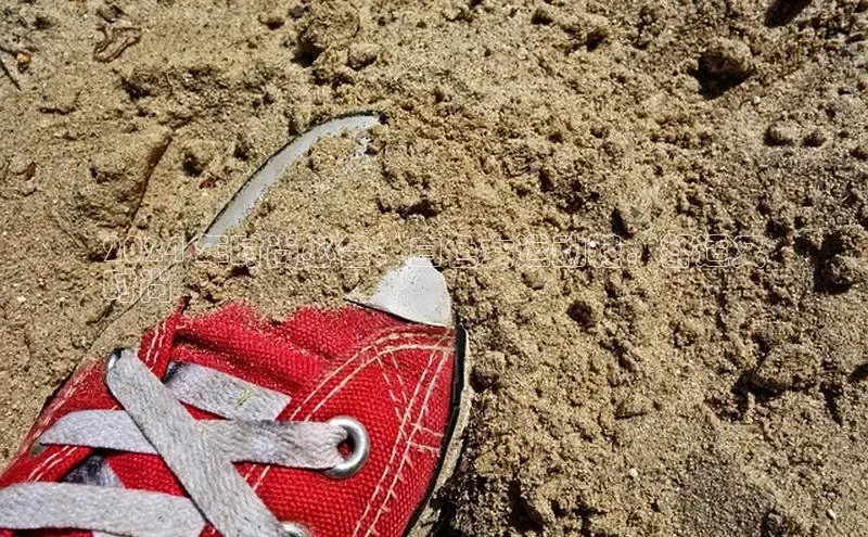 必一运动sport视觉中国2024 年时尚必备：白色女运动鞋，舒适又
时尚