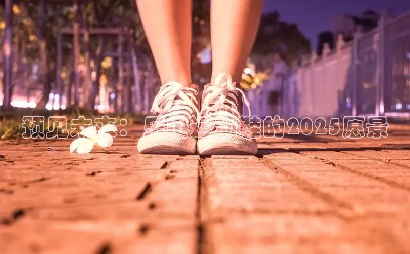 b体育下载入口app百度学术预见未来：乐山运动鞋的2025愿景