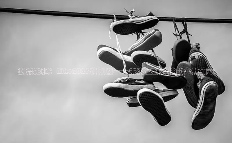 Bsport体育APP下载全站百度百聘潮流先驱：Nike2025特别版——未来运动科技的全新篇章