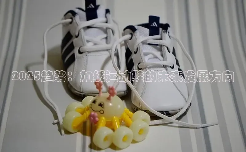 2025趋势：加绒运动鞋的未来发展方向