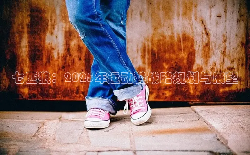 七匹狼：2025年运动鞋战略规划与展望