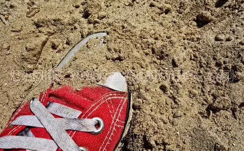 潮流引领：2025新款奥康运动鞋女士系列