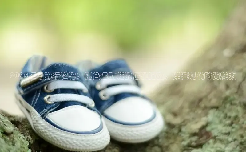 2025年度流行趋势：银色运动鞋的优雅绽放，洋溢现代时尚魅力