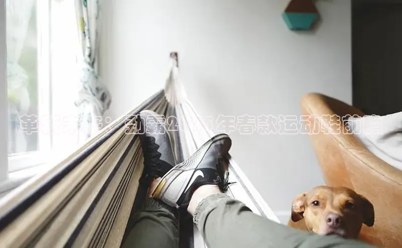 必一b体育app网页版登录