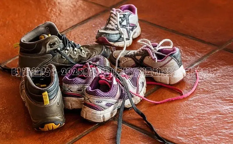 B体育网页登录版